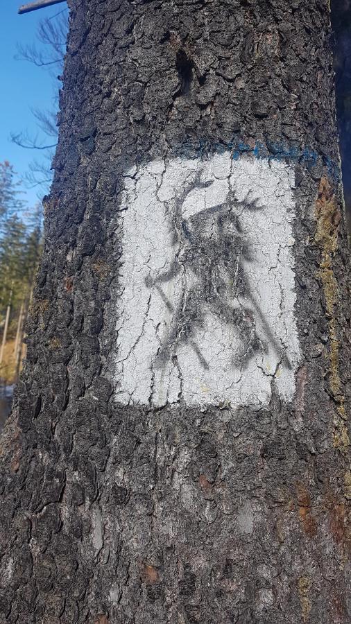 Skaly Spaly Пшесека Экстерьер фото