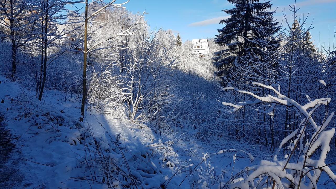 Skaly Spaly Пшесека Экстерьер фото